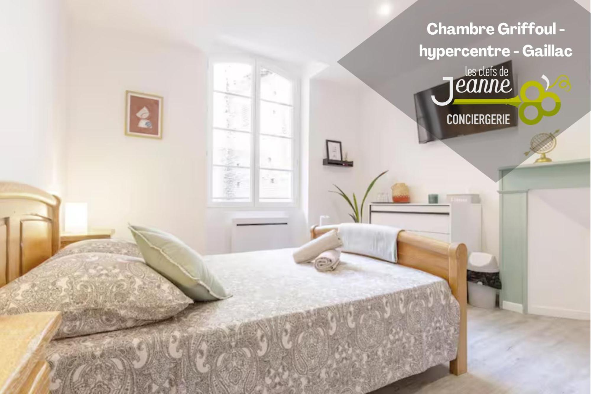 Chambre Griffoul - Hypercentre - Gaillac Eksteriør bilde
